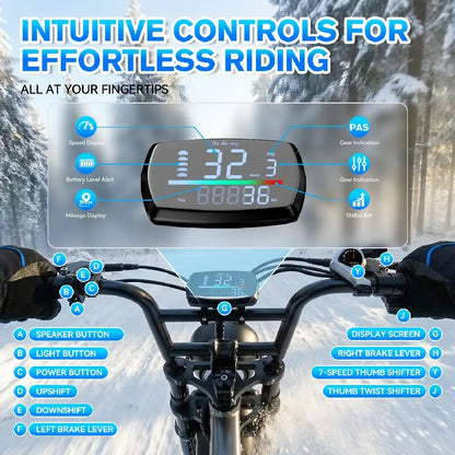 Electric fat bike