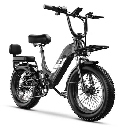 Electric Bike for Adults, 48V 20AH