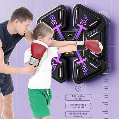 New Smart Music Boxing Wall Target Adult/Children