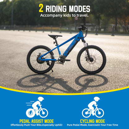 Electric Bike for Kids Teens