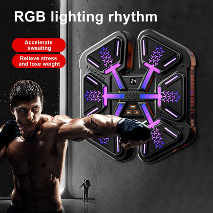 New Smart Music Boxing Wall Target Adult/Children
