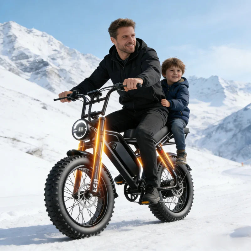 Electric fat bike