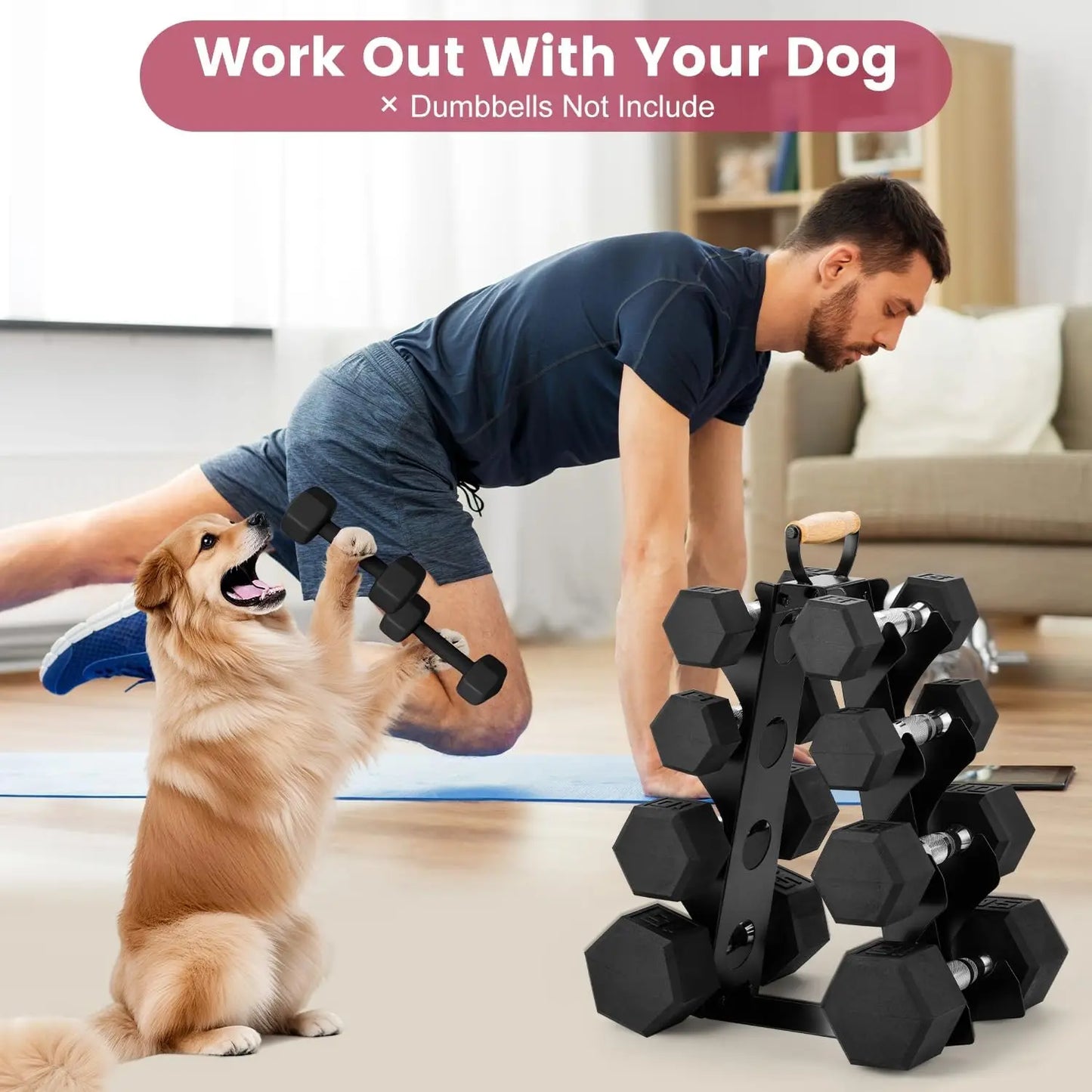 A-Frame Dumbbell Rack Stand