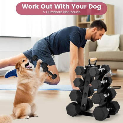 A-Frame Dumbbell Rack Stand