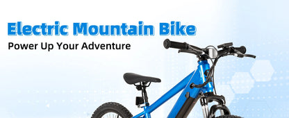 Electric Bike for Kids Teens
