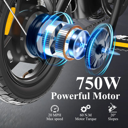 Adult Electric Bike 14" Foldable eBike,