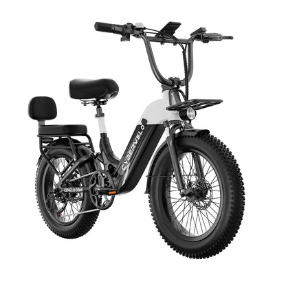 Electric Bike for Adults, 48V 20AH